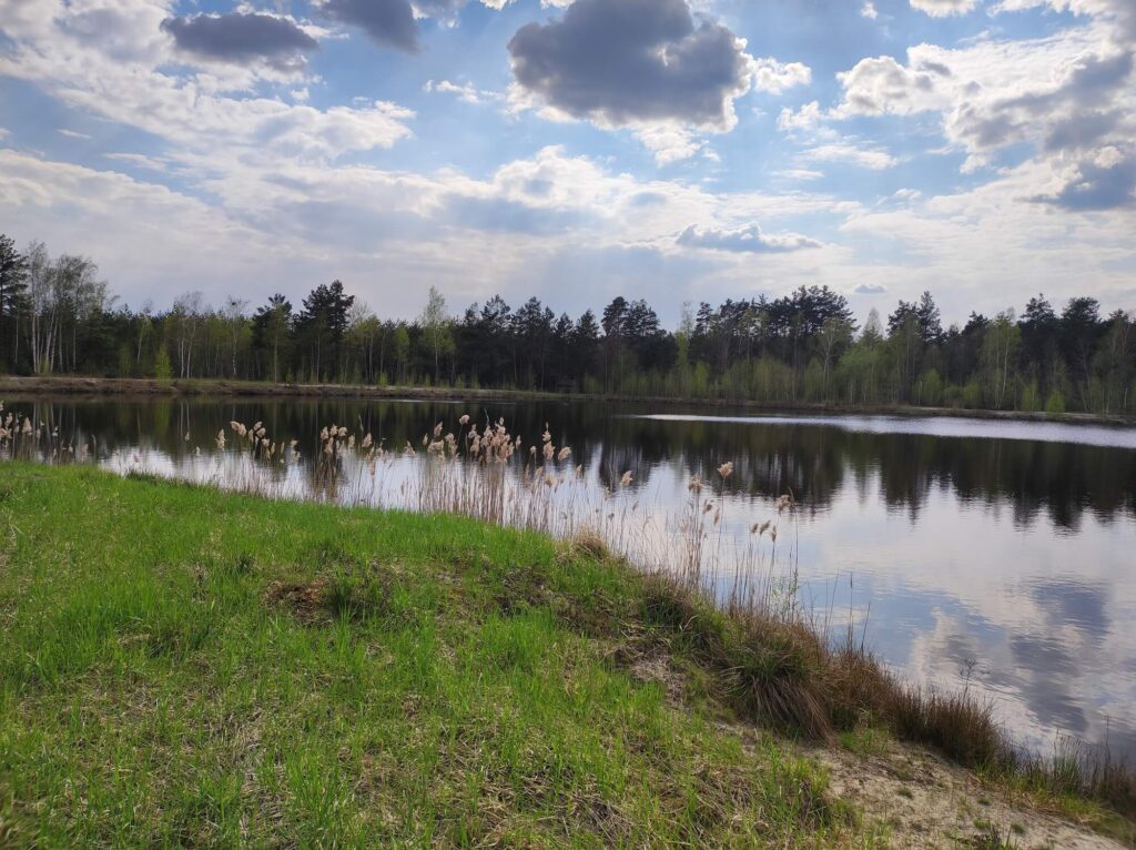 Рибалка на карася