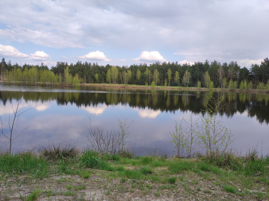 Альтанка біля ставка