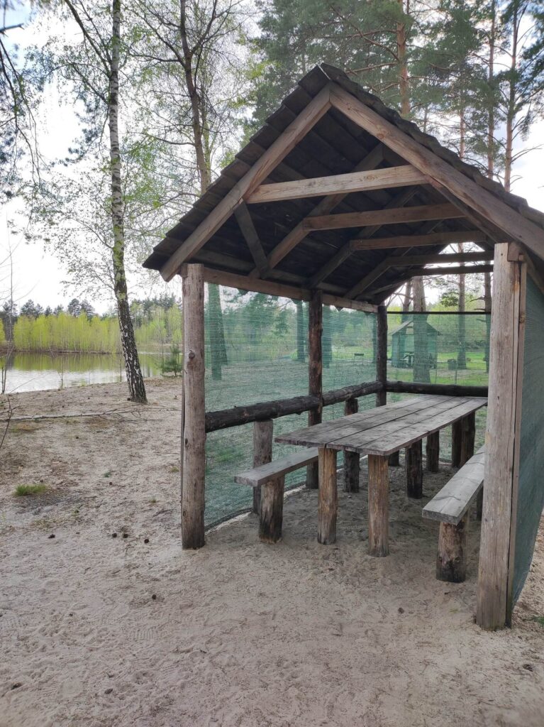 Альтанка біля ставка